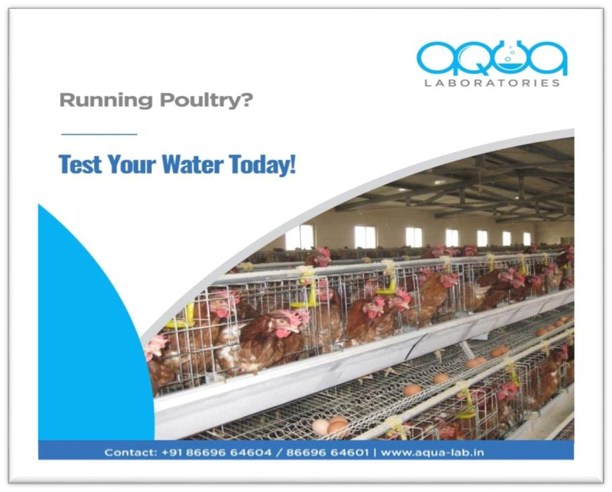 water-testing-lab-services-for-poultry