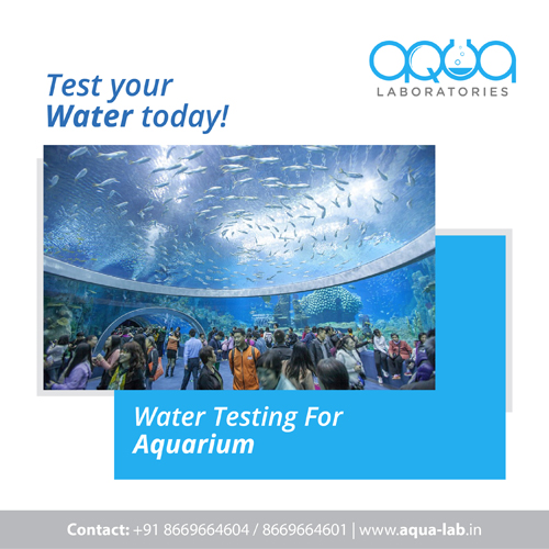 Why Water Testing